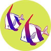 美術館・水族館